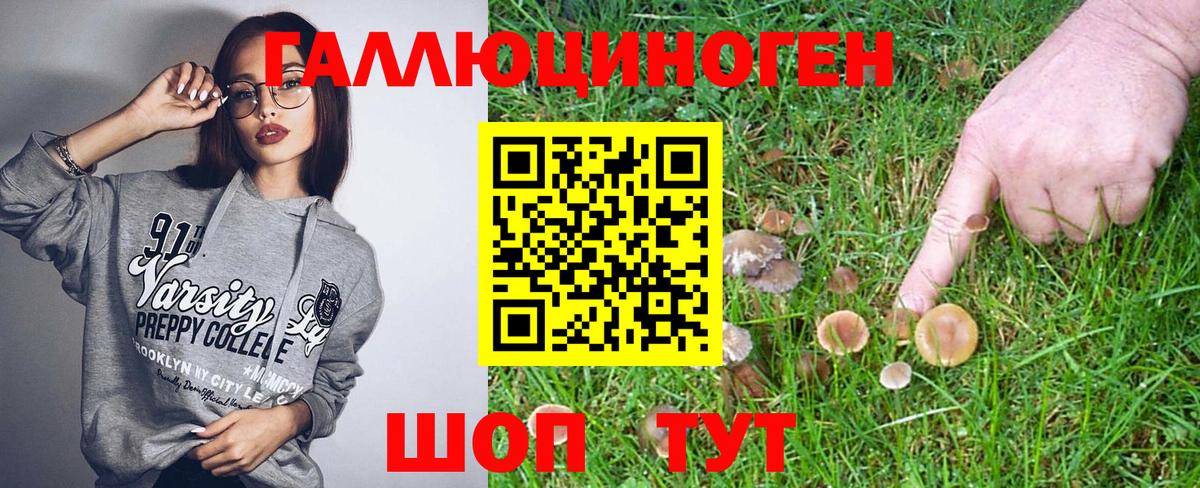 Галлюциногенные грибы мухоморы  Галлюциногенные грибы мицелий  как найти закладки  Вход с VPN  Лесной 
