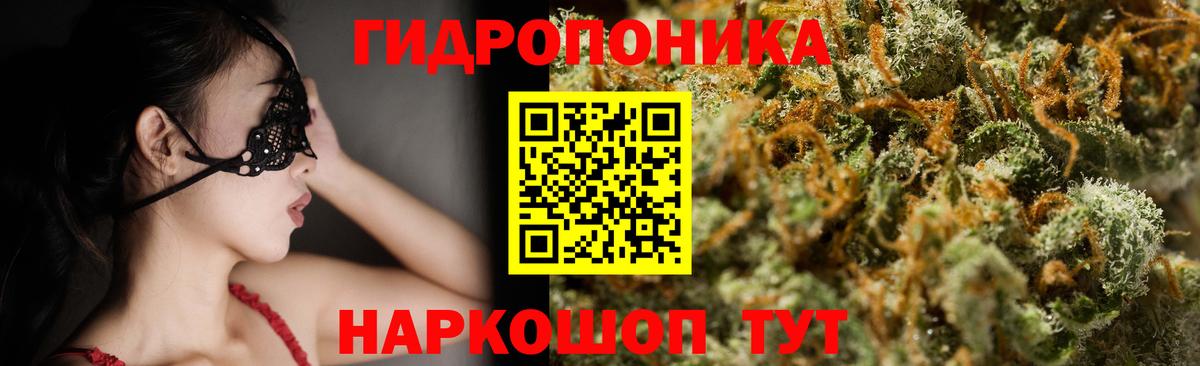 Конопля AK-47  Бошки Шишки VHQ  Вход с VPN  Лесной 